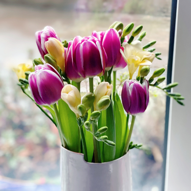 OpenGraph image for photo.cate.blog/2021/04/%f0%9f%8c%b7-12/