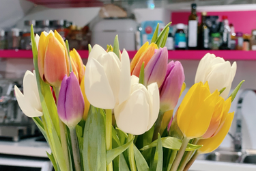 OpenGraph image for photo.cate.blog/2021/04/%f0%9f%8c%b7-13/