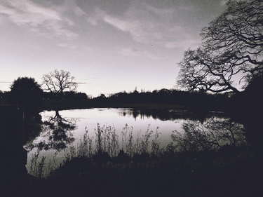 OpenGraph image for photo.cate.blog/2021/04/%f0%9f%96%a4-6/