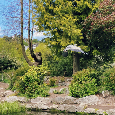 OpenGraph image for photo.cate.blog/2021/04/flight/