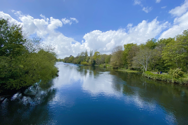 OpenGraph image for photo.cate.blog/2021/05/%e2%98%80%ef%b8%8f-9/