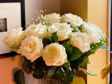 OpenGraph image for photo.cate.blog/2021/05/%f0%9f%8c%b9%f0%9f%92%96/