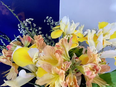 OpenGraph image for photo.cate.blog/2021/05/%f0%9f%92%90-16/