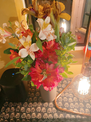 OpenGraph image for photo.cate.blog/2021/05/%f0%9f%92%90-17/