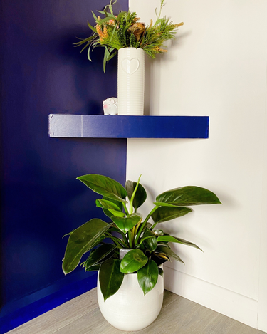 OpenGraph image for photo.cate.blog/2021/05/corner/