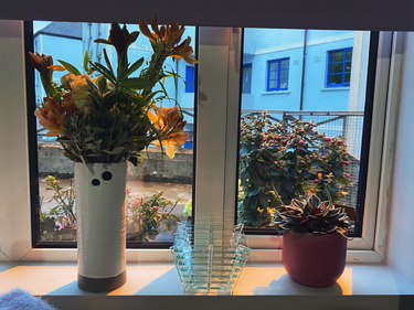 OpenGraph image for photo.cate.blog/2021/05/medium-sized-planter-%f0%9f%aa%b4/