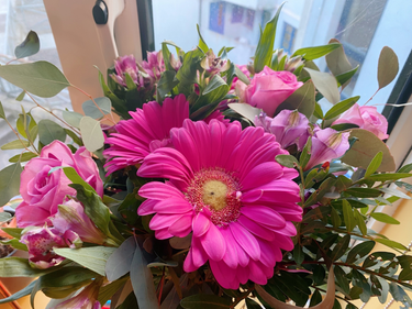 OpenGraph image for photo.cate.blog/2021/05/pink-2/