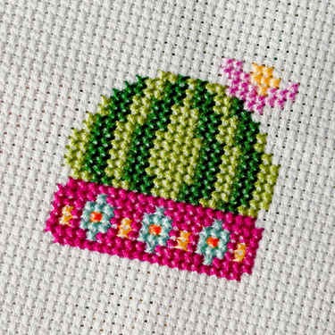 OpenGraph image for photo.cate.blog/2021/06/%f0%9f%8c%b5-3/