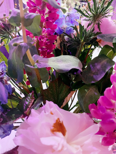 OpenGraph image for photo.cate.blog/2021/06/%f0%9f%8c%b8-7/