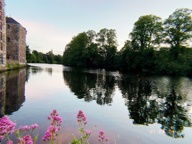 OpenGraph image for photo.cate.blog/2021/06/hint-of-pink-%e2%9c%a8/