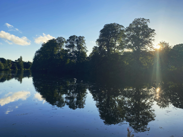 OpenGraph image for photo.cate.blog/2021/07/%e2%98%80%ef%b8%8f-10/