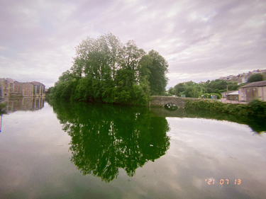 OpenGraph image for photo.cate.blog/2021/07/%f0%9f%8c%b3-20/