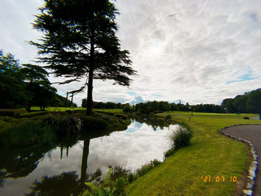 OpenGraph image for photo.cate.blog/2021/07/%f0%9f%8c%b3-21/