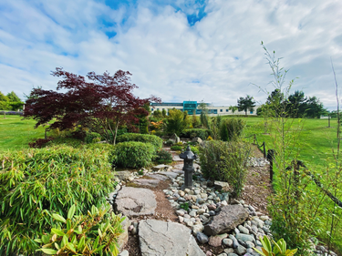 OpenGraph image for photo.cate.blog/2021/07/%f0%9f%aa%a8%f0%9f%aa%a8%f0%9f%aa%a8/