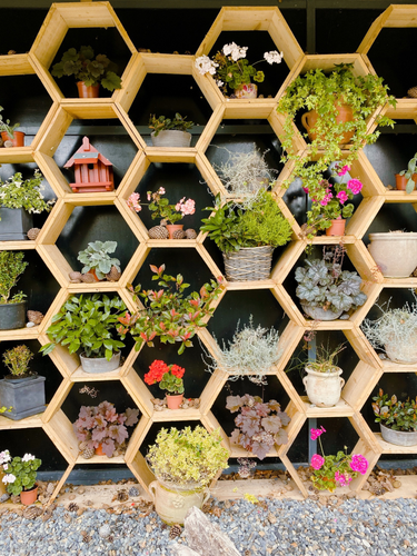 OpenGraph image for photo.cate.blog/2021/07/%f0%9f%aa%b4-6/