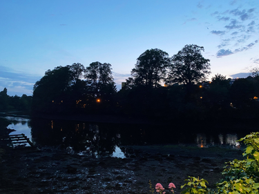 OpenGraph image for photo.cate.blog/2021/07/dusk-%f0%9f%8c%b3/