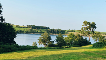 OpenGraph image for photo.cate.blog/2021/08/%f0%9f%8c%b2-3/