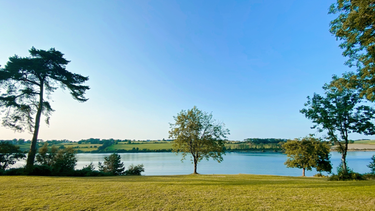 OpenGraph image for photo.cate.blog/2021/08/%f0%9f%8c%b3-22/