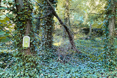 OpenGraph image for photo.cate.blog/2021/08/%f0%9f%92%8c/