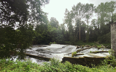 OpenGraph image for photo.cate.blog/2021/08/%f0%9f%92%9a-5/