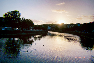 OpenGraph image for photo.cate.blog/2021/08/%f0%9f%a6%86-2/