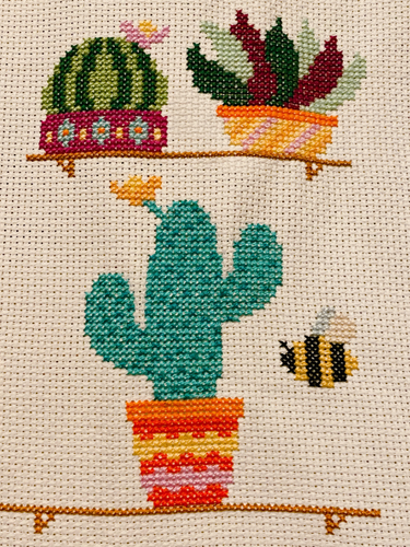 OpenGraph image for photo.cate.blog/2021/08/cacti-%f0%9f%8c%b5/