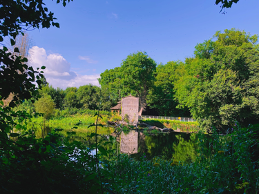 OpenGraph image for photo.cate.blog/2021/08/countryside-%f0%9f%87%ae%f0%9f%87%aa/