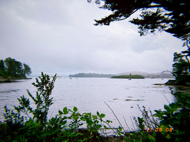 OpenGraph image for photo.cate.blog/2021/08/glengarriff-%f0%9f%87%ae%f0%9f%87%aa/