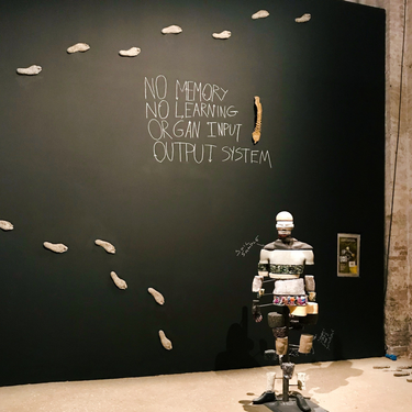 OpenGraph image for photo.cate.blog/2021/08/no-memory-no-learning/