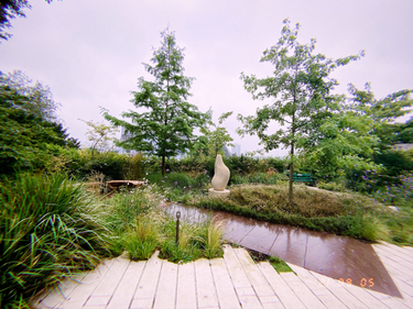 OpenGraph image for photo.cate.blog/2021/09/%f0%9f%8c%b2-4/