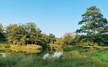 OpenGraph image for photo.cate.blog/2021/09/%f0%9f%8c%b3%f0%9f%8c%b2%f0%9f%8c%b3/