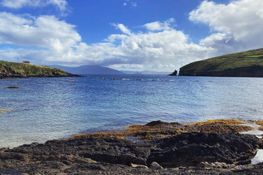 OpenGraph image for photo.cate.blog/2021/09/blue-skies-%e2%98%80%ef%b8%8f%f0%9f%8c%8a/