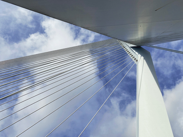 OpenGraph image for photo.cate.blog/2021/09/erasmus-bridge-%f0%9f%87%b3%f0%9f%87%b1/