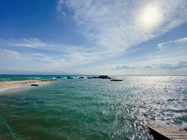 OpenGraph image for photo.cate.blog/2021/10/%e2%98%80%ef%b8%8f%f0%9f%8c%8a/