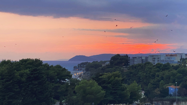 OpenGraph image for photo.cate.blog/2021/10/%f0%9f%8c%85-21/