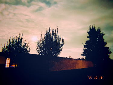 OpenGraph image for photo.cate.blog/2021/10/%f0%9f%8c%b2-5/