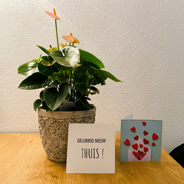 OpenGraph image for photo.cate.blog/2021/10/%f0%9f%8f%a0%f0%9f%87%b3%f0%9f%87%b1-2/