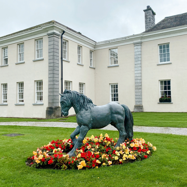 OpenGraph image for photo.cate.blog/2021/10/%f0%9f%90%8e-2/