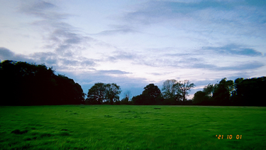 OpenGraph image for photo.cate.blog/2021/10/dusk-%f0%9f%8c%b3-2/