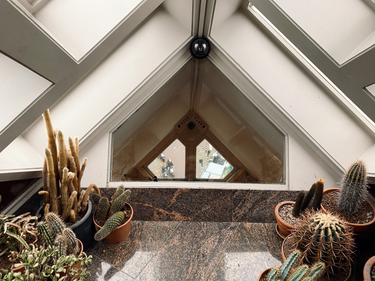 OpenGraph image for photo.cate.blog/2021/11/%f0%9f%8c%b5-in-the-cube-house-%f0%9f%8f%a0/