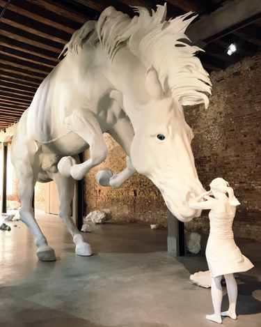 OpenGraph image for photo.cate.blog/2021/11/%f0%9f%90%8e-3/