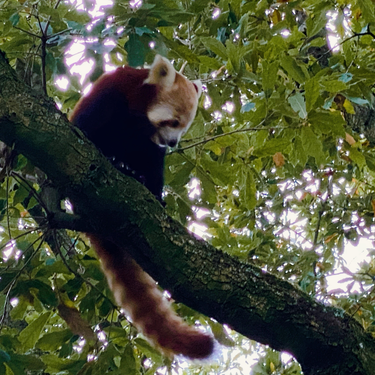 OpenGraph image for photo.cate.blog/2021/11/cutie/