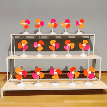 OpenGraph image for photo.cate.blog/2021/11/super-fans/