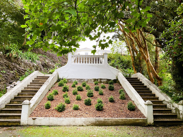 OpenGraph image for photo.cate.blog/2021/12/steps/