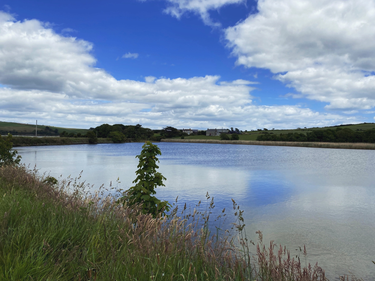 OpenGraph image for photo.cate.blog/2022/06/%e2%98%80%ef%b8%8f-16/