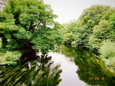 OpenGraph image for photo.cate.blog/2022/06/%f0%9f%8c%b3%f0%9f%8c%b3%f0%9f%8c%b3-3/