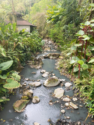 OpenGraph image for photo.cate.blog/2022/06/%f0%9f%8c%b3-25/