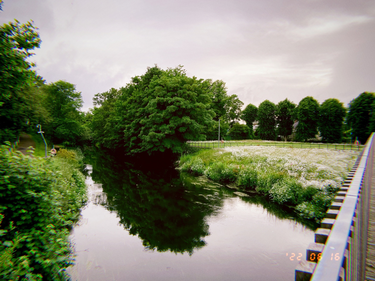 OpenGraph image for photo.cate.blog/2022/06/%f0%9f%8c%b3-26/