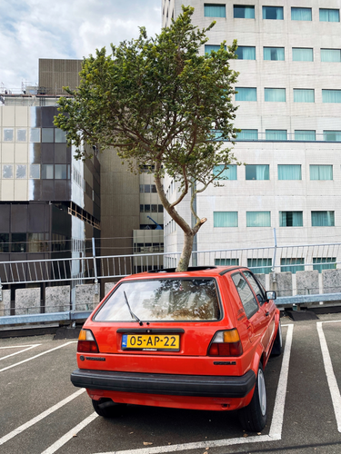 OpenGraph image for photo.cate.blog/2022/06/%f0%9f%9a%97%f0%9f%8c%b3/