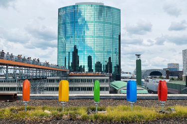 OpenGraph image for photo.cate.blog/2022/06/mechanical-tulips-%f0%9f%8c%b7/